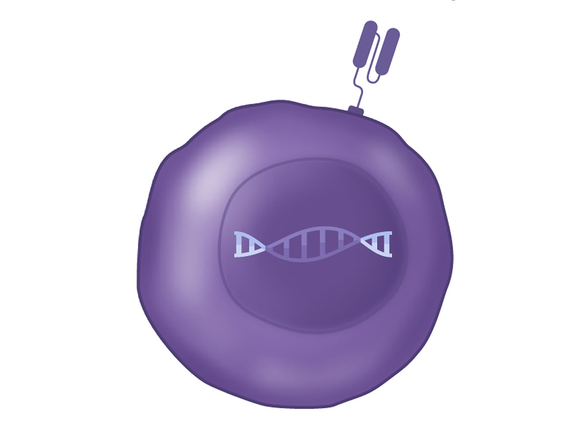 CAR-NK cell therapies image