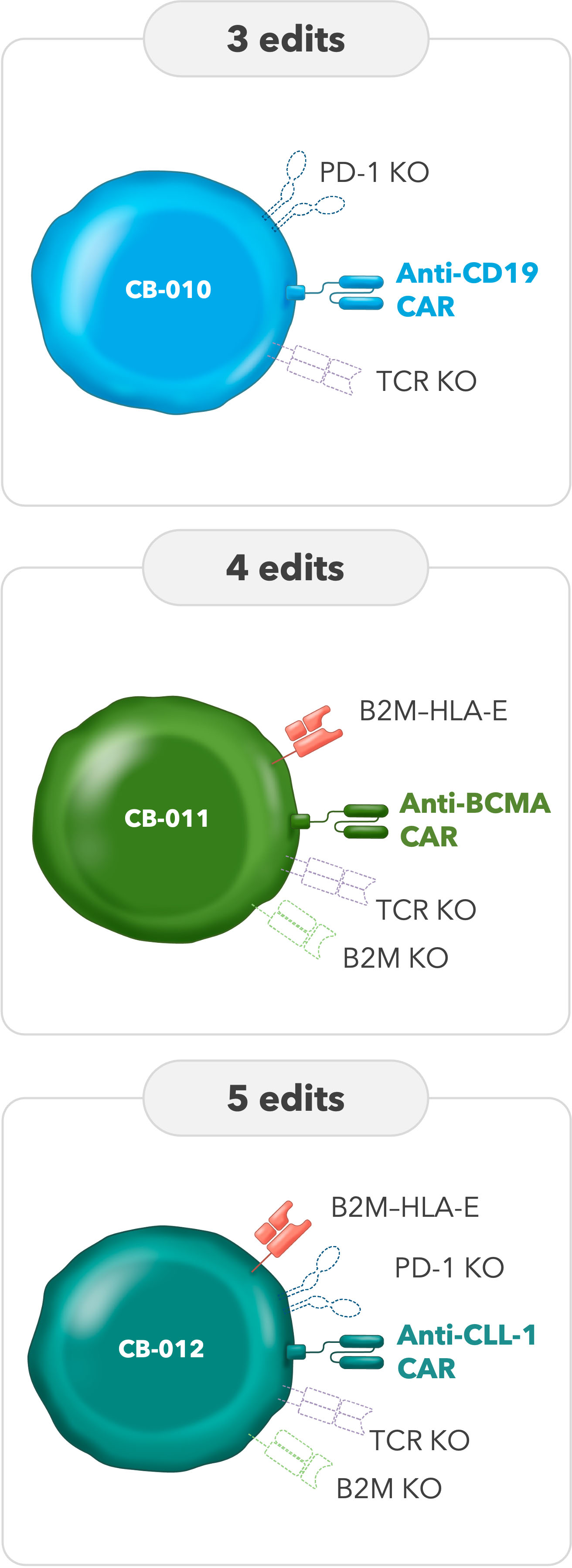 Allogeneic T cells and NK cells chRDNAs Caribou Biosciences