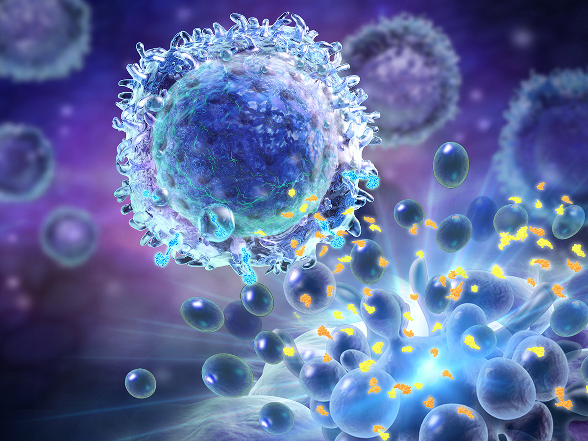 CAR-NK cell therapies image