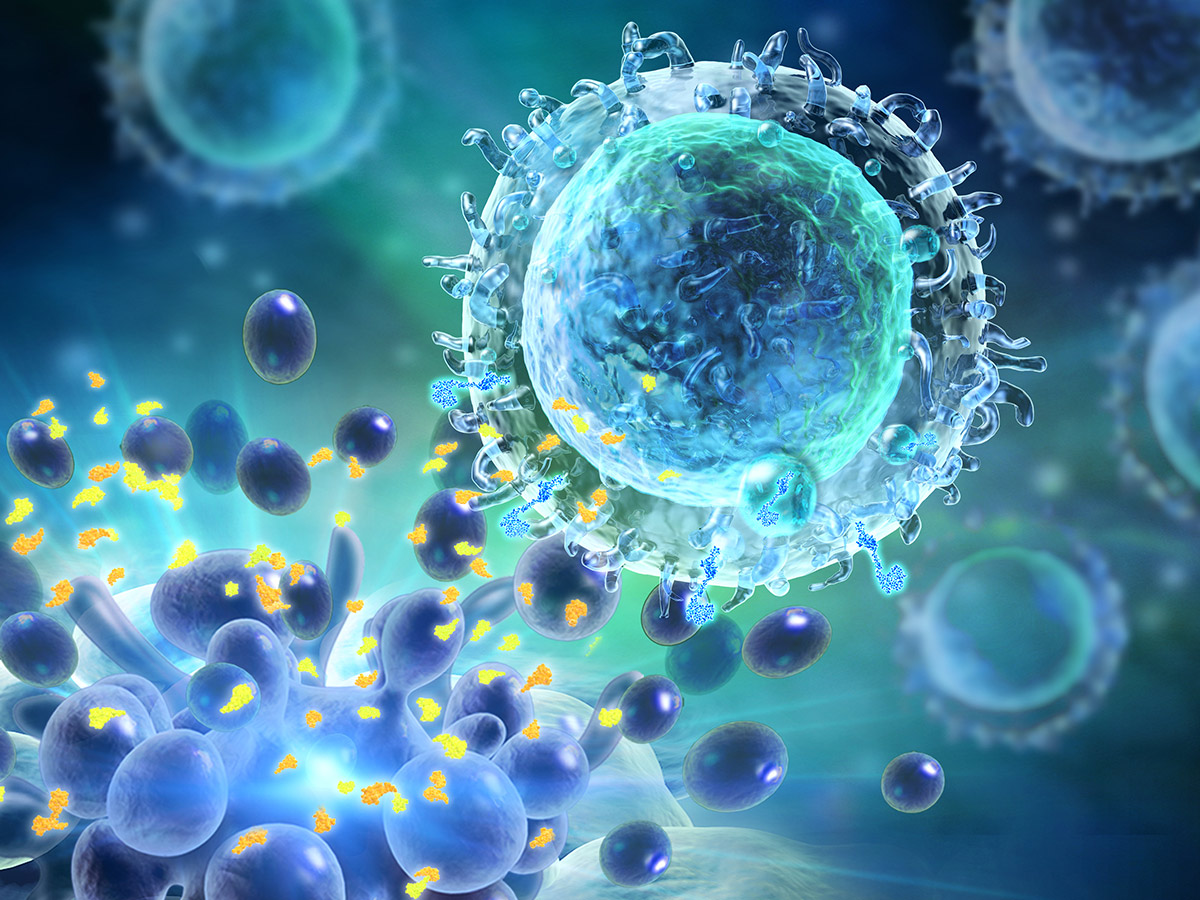 CAR-T cell therapies image