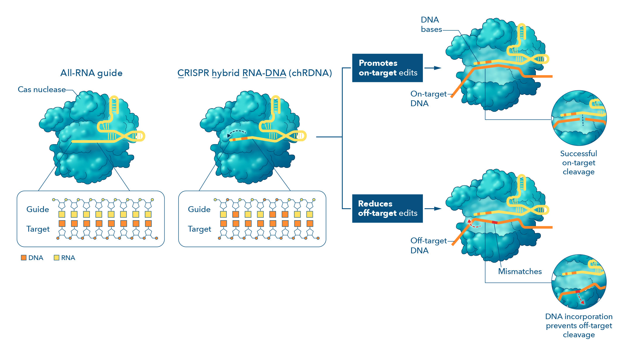 Next-gen CRISPR