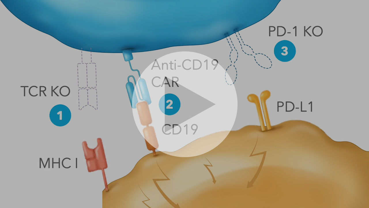 play CB-010 video