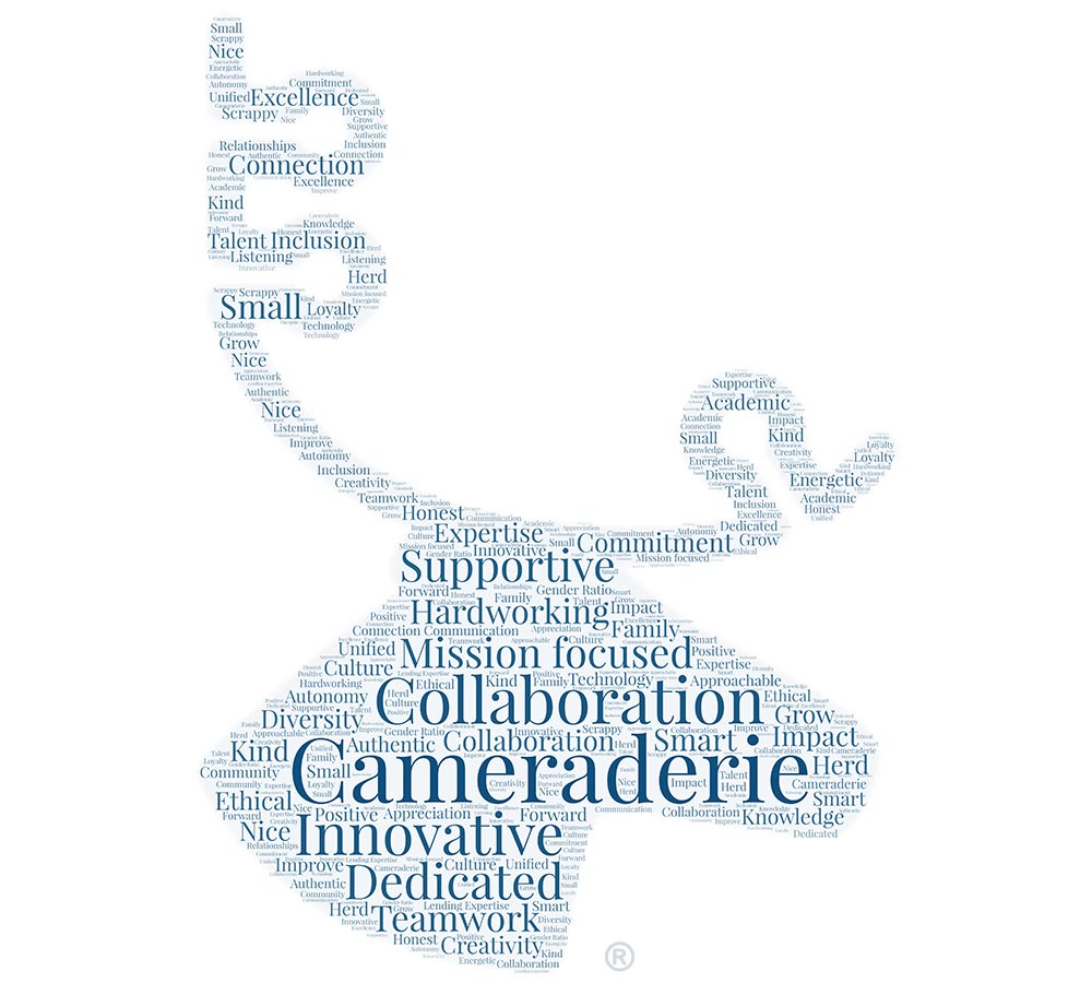 Values word cloud image